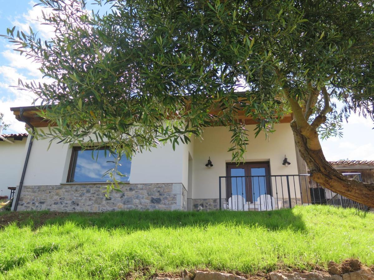 La Casina Del Olivo Villa Ribadesella Bagian luar foto